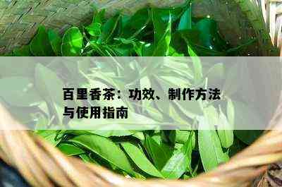 百里香茶：功效、制作方法与采用指南