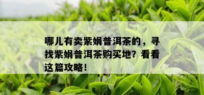 哪儿有卖紫娟普洱茶的，寻找紫娟普洱茶购买地？看看这篇攻略！