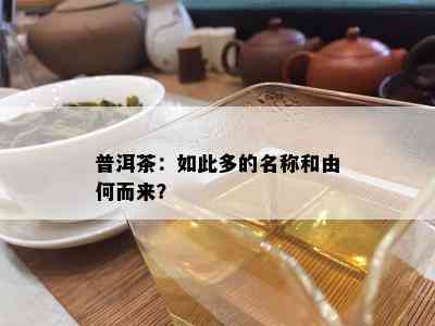 普洱茶：如此多的名称和由何而来？