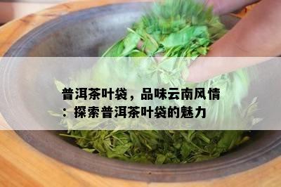 普洱茶叶袋，品味云南风情：探索普洱茶叶袋的魅力