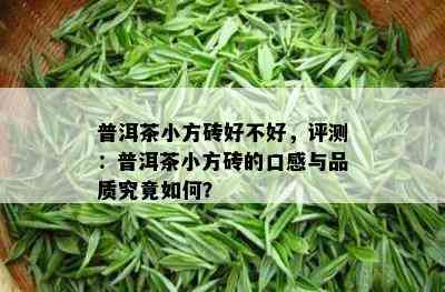 普洱茶小方砖好不好，评测：普洱茶小方砖的口感与品质究竟怎样？