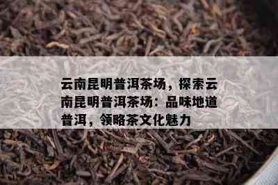 云南昆明普洱茶场，探索云南昆明普洱茶场：品味地道普洱，领略茶文化魅力