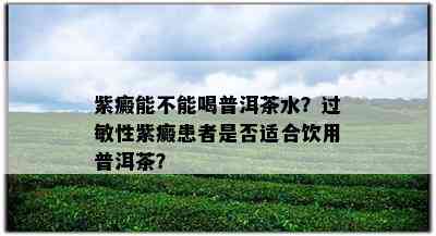 紫癜能不能喝普洱茶水？过敏性紫癜患者是否适合饮用普洱茶？