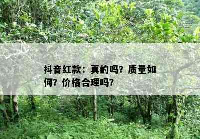 抖音红款：真的吗？质量如何？价格合理吗？