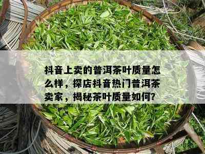 抖音上卖的普洱茶叶质量怎么样，探店抖音热门普洱茶卖家，揭秘茶叶质量如何？