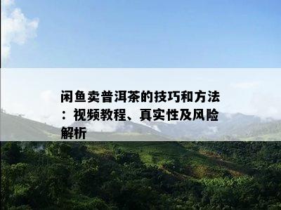 闲卖普洱茶的技巧和方法：视频教程、真实性及风险解析