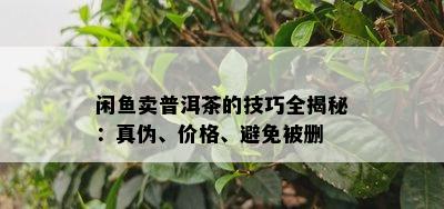 闲卖普洱茶的技巧全揭秘：真伪、价格、避免被删