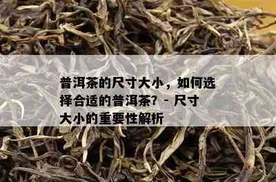 普洱茶的尺寸大小，怎样选择合适的普洱茶？- 尺寸大小的关键性解析