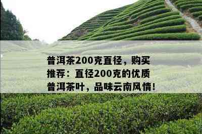 普洱茶200克直径，购买推荐：直径200克的优质普洱茶叶，品味云南风情！