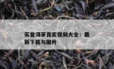 买普洱茶真实视频大全：最新下载与图片