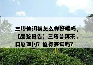 三塔普洱茶怎么样好喝吗，【品鉴报告】三塔普洱茶，口感怎样？值得尝试吗？