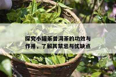 探究小罐茶普洱茶的功效与作用，了解其禁忌与优缺点