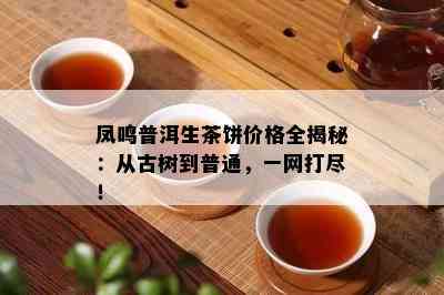 凤鸣普洱生茶饼价格全揭秘：从古树到普通，一网打尽！