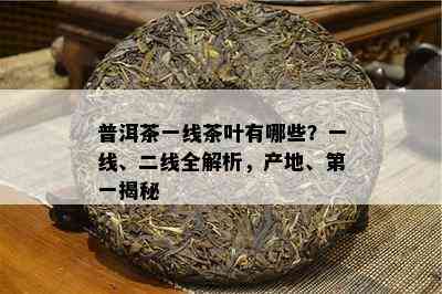 普洱茶一线茶叶有哪些？一线、二线全解析，产地、之一揭秘