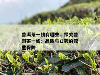 普洱茶一线有哪些，探究普洱茶一线：品质与口碑的双重保障