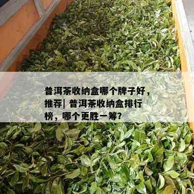 普洱茶收纳盒哪个牌子好，推荐| 普洱茶收纳盒排行榜，哪个更胜一筹？