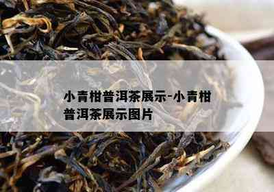 小青柑普洱茶展示-小青柑普洱茶展示图片