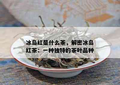 冰岛红是什么茶，解密冰岛红茶：一种特别的茶叶品种