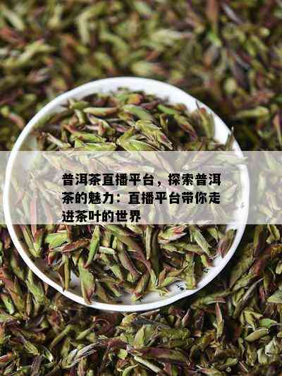 普洱茶直播平台，探索普洱茶的魅力：直播平台带你走进茶叶的世界