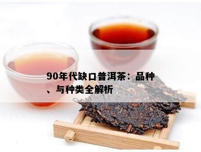 90年代缺口普洱茶：品种、与种类全解析