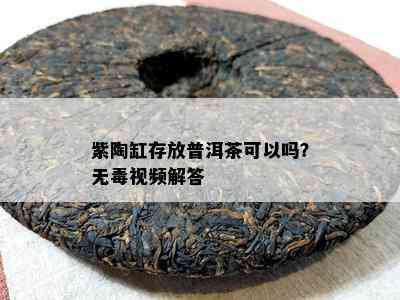 紫陶缸存放普洱茶可以吗？无视频解答