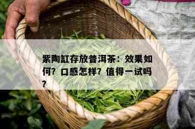 紫陶缸存放普洱茶：效果怎样？口感怎样？值得一试吗？