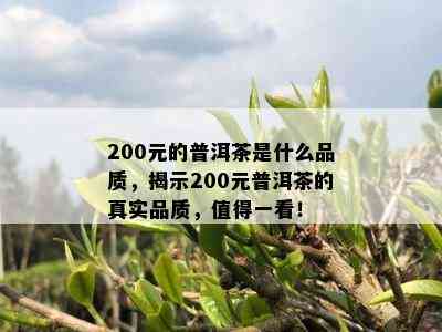 200元的普洱茶是什么品质，揭示200元普洱茶的真实品质，值得一看！