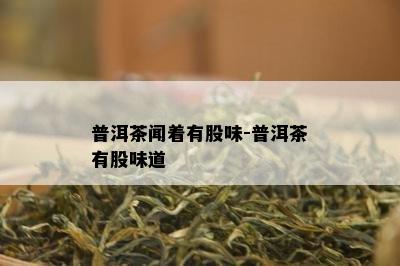 普洱茶闻着有股味-普洱茶有股味道