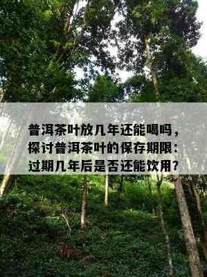 普洱茶叶放几年还能喝吗，探讨普洱茶叶的保存期限：过期几年后是不是还能饮用？