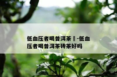 低血压者喝普洱茶磚-低血压者喝普洱茶砖茶好吗