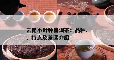 云南小叶种普洱茶：品种、、特点及茶区介绍