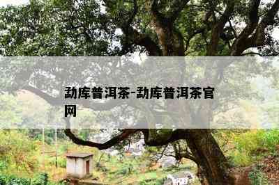 勐库普洱茶-勐库普洱茶官网