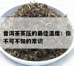 普洱茶蒸压的更佳温度：你不可不知的常识