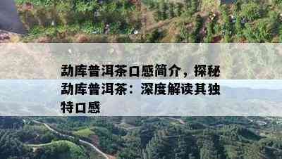 勐库普洱茶口感简介，探秘勐库普洱茶：深度解读其特别口感