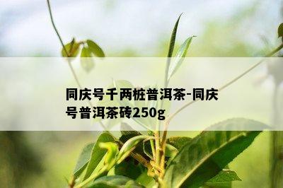 同庆号千两桩普洱茶-同庆号普洱茶砖250g