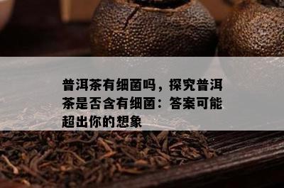 普洱茶有细菌吗，探究普洱茶是否含有细菌：答案可能超出你的想象