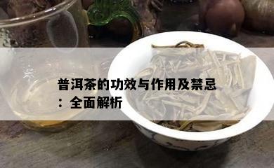 普洱茶的功效与作用及禁忌：全面解析