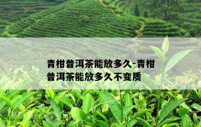 青柑普洱茶能放多久-青柑普洱茶能放多久不变质