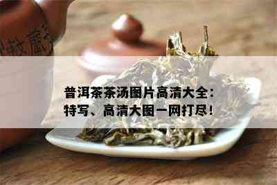 普洱茶茶汤图片高清大全：特写、高清大图一网打尽！