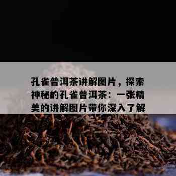 孔雀普洱茶讲解图片，探索神秘的孔雀普洱茶：一张精美的讲解图片带你深入了解