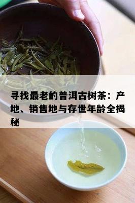 寻找最老的普洱古树茶：产地、销售地与存世年龄全揭秘