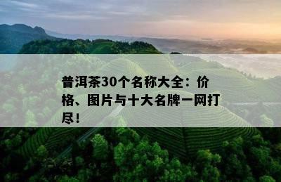 普洱茶30个名称大全：价格、图片与十大名牌一网打尽！