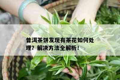 普洱茶饼发现有茶花如何处理？解决方法全解析！