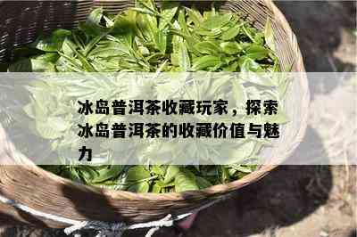 冰岛普洱茶收藏玩家，探索冰岛普洱茶的收藏价值与魅力