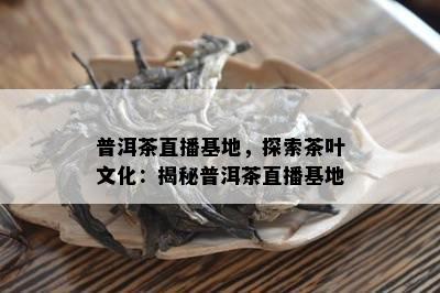 普洱茶直播基地，探索茶叶文化：揭秘普洱茶直播基地