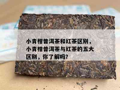 小青柑普洱茶和红茶区别，小青柑普洱茶与红茶的五大区别，你熟悉吗？