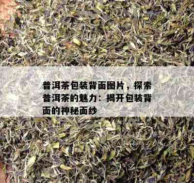 普洱茶包装背面图片，探索普洱茶的魅力：揭开包装背面的神秘面纱