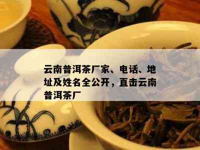 云南普洱茶厂家、电话、地址及姓名全公开，直击云南普洱茶厂