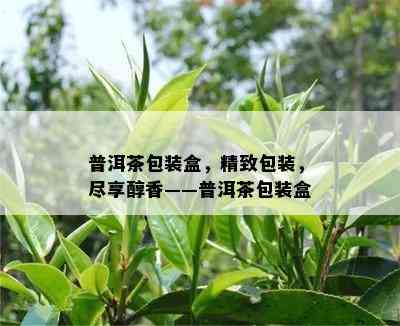 普洱茶包装盒，精致包装，尽享醇香——普洱茶包装盒