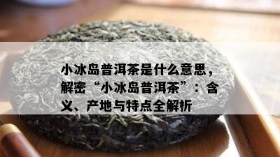 小冰岛普洱茶是什么意思，解密“小冰岛普洱茶”：含义、产地与特点全解析